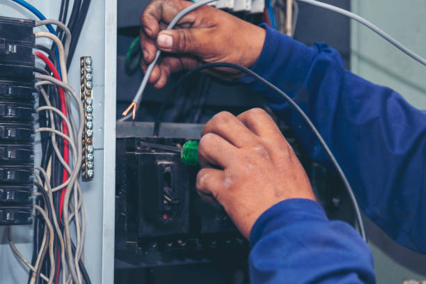 Best Licensed Electrician  in Kingston, IL