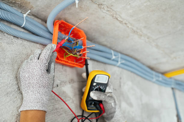 Best Outdoor Lighting Installation  in Kingston, IL